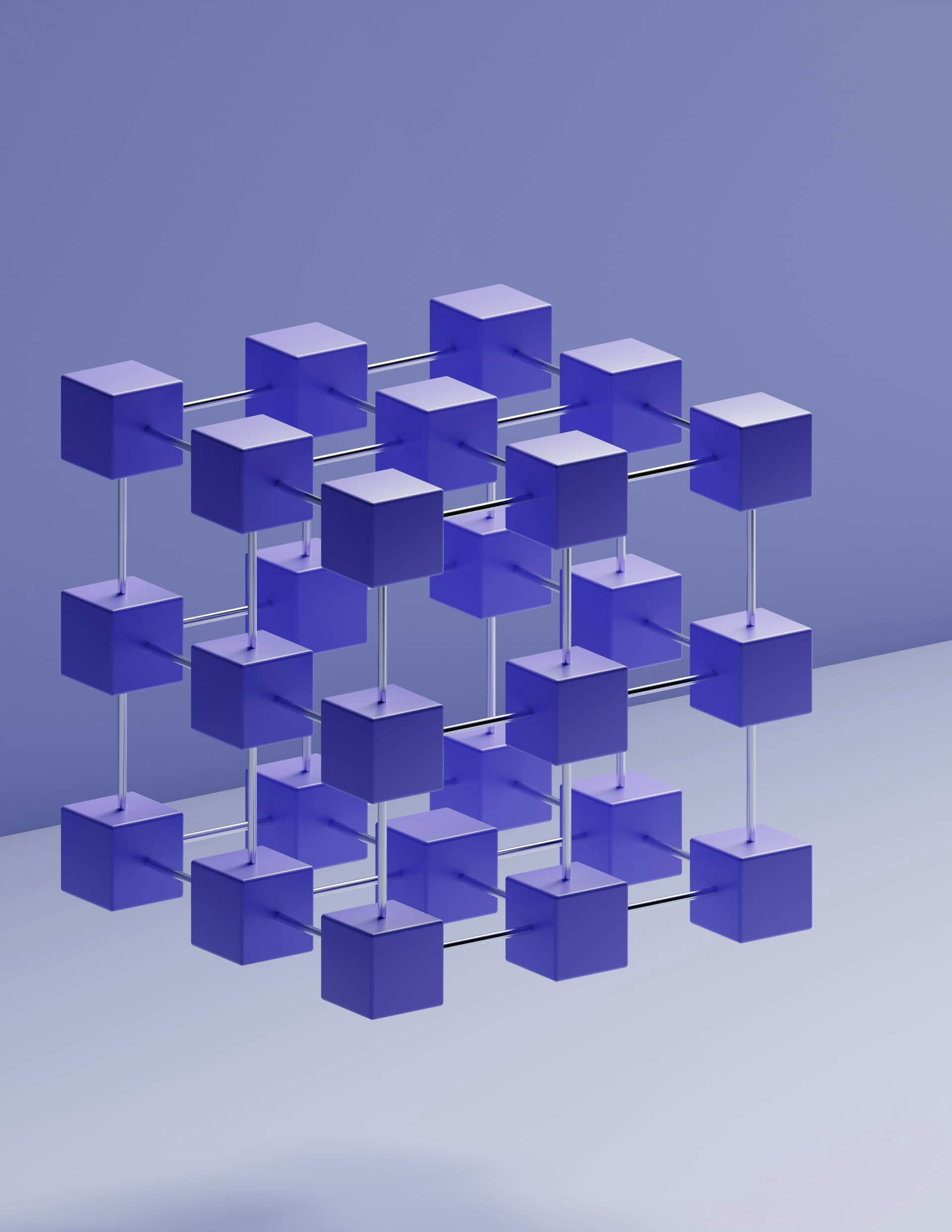 Digital World Safeguards - Payment Tokenization